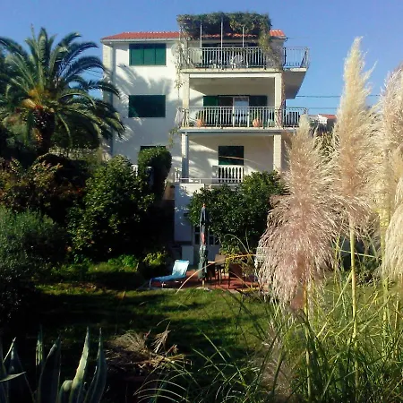 Apartment Palm Tree House *