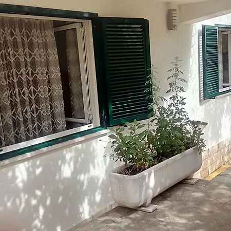 Apartment Palm Tree House